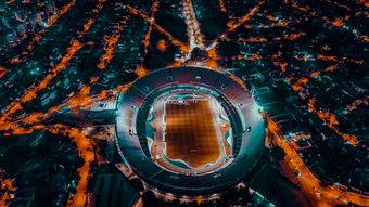 爱游戏体育平台-爱尔兰青训系统助力橄榄球未来腾飞，爱尔兰橄榄球联盟